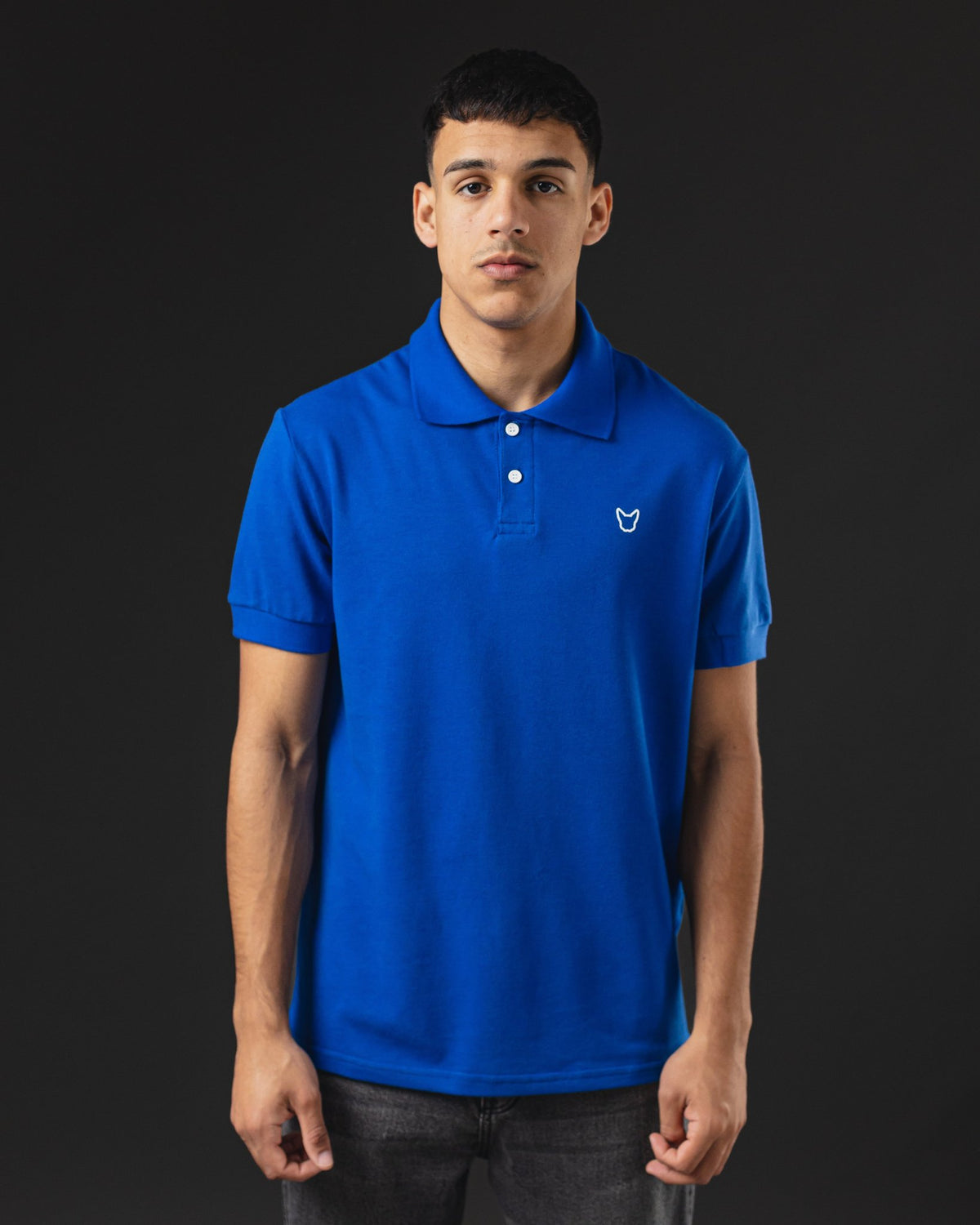 REMERA POLO OTTO BASIC AZUL FRANCIA